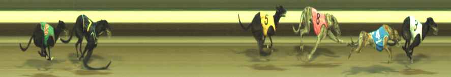 Photo finish for Warragul Race 9
