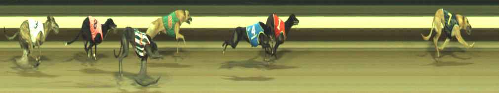 Photo finish for Warragul Race 10