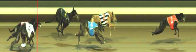 Photo finish for Warragul Race 11