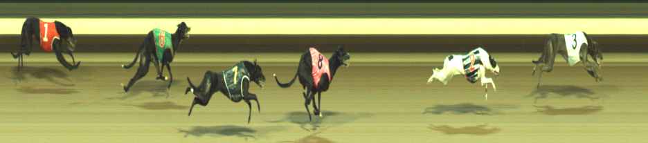 Photo finish for Warragul Race 12