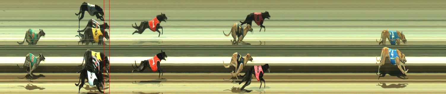 Photo finish for Warragul Race 2
