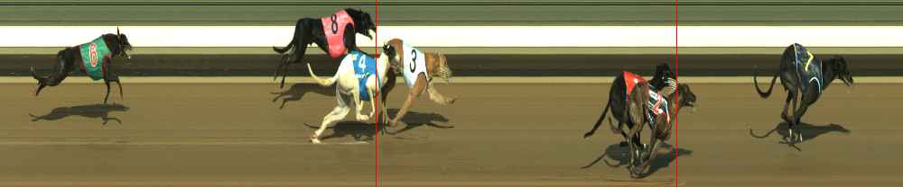 Photo finish for Warragul Race 3