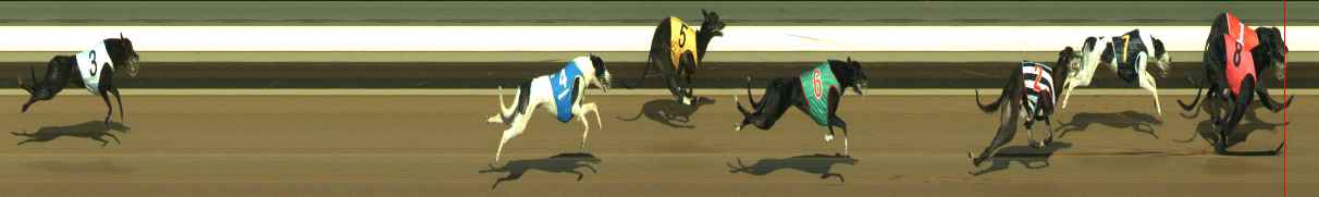 Photo finish for Warragul Race 4