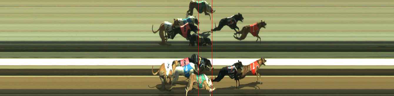 Photo finish for Warragul Race 5