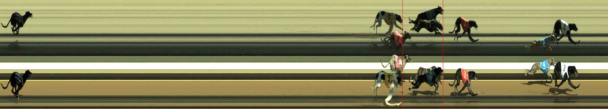 Photo finish for Warragul Race 6