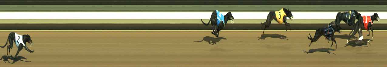 Photo finish for Warragul Race 7