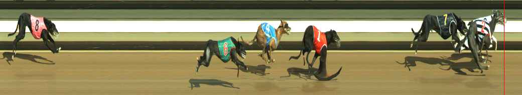Photo finish for Warragul Race 9