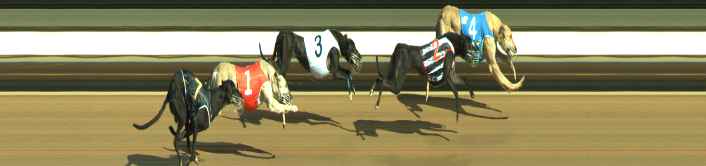 Photo finish for Warragul Race 10