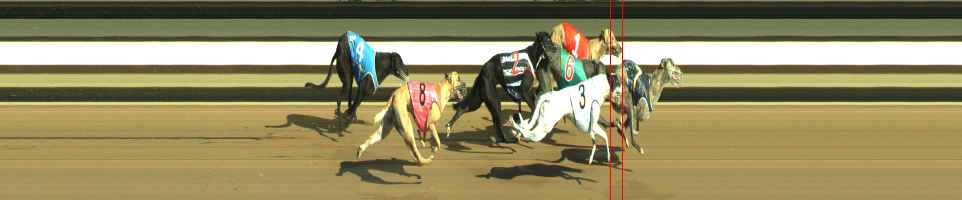 Photo finish for Warragul Race 11