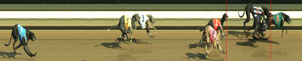 Photo finish for Warragul Race 12