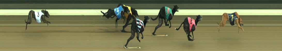 Photo finish for Warragul Race 4