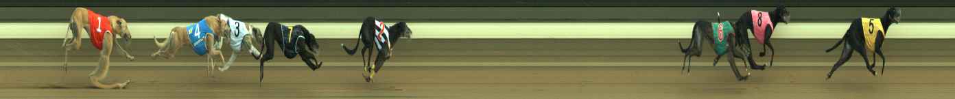 Photo finish for Warragul Race 5
