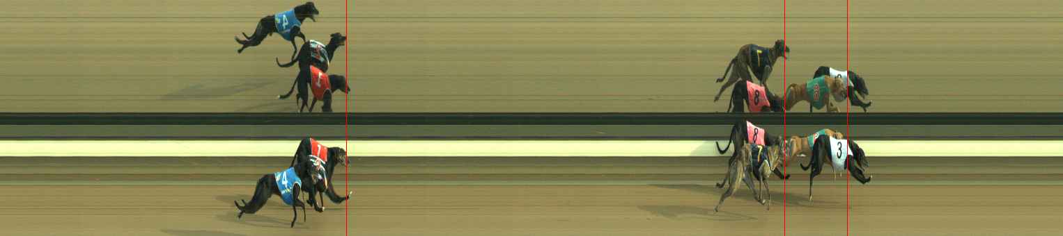 Photo finish for Warragul Race 6