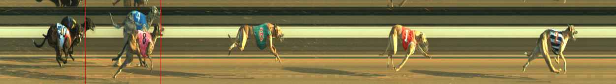 Photo finish for Warragul Race 8
