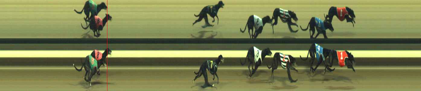 Photo finish for Warragul Race 11