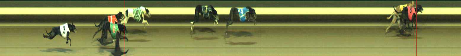 Photo finish for Warragul Race 12
