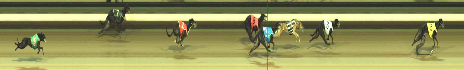 Photo finish for Warragul Race 3