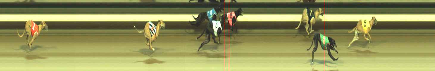 Photo finish for Warragul Race 4