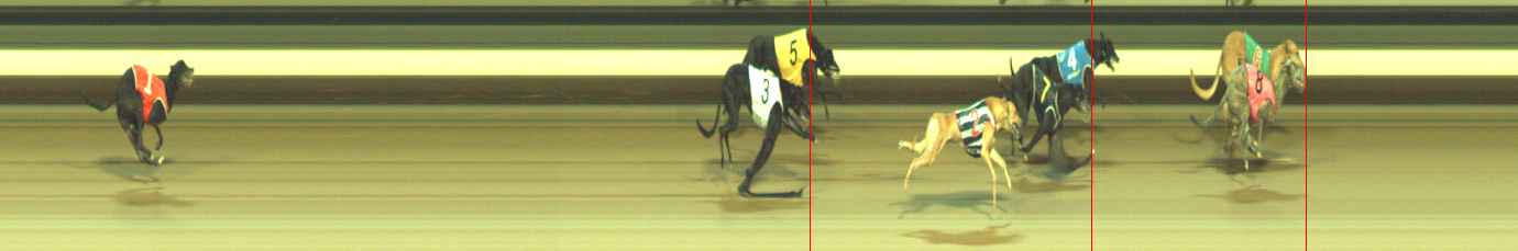 Photo finish for Warragul Race 5