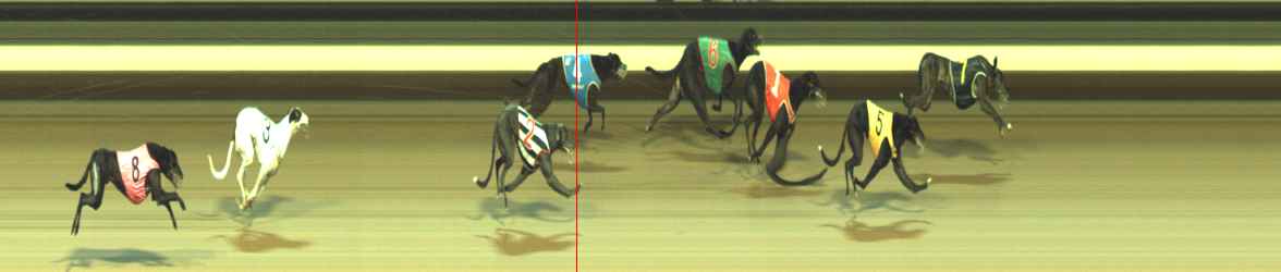 Photo finish for Warragul Race 6