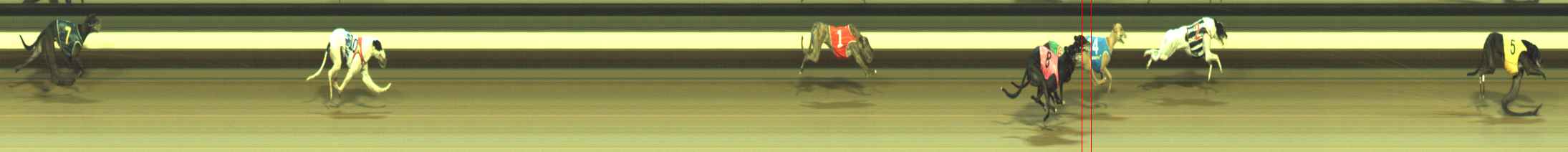 Photo finish for Warragul Race 8