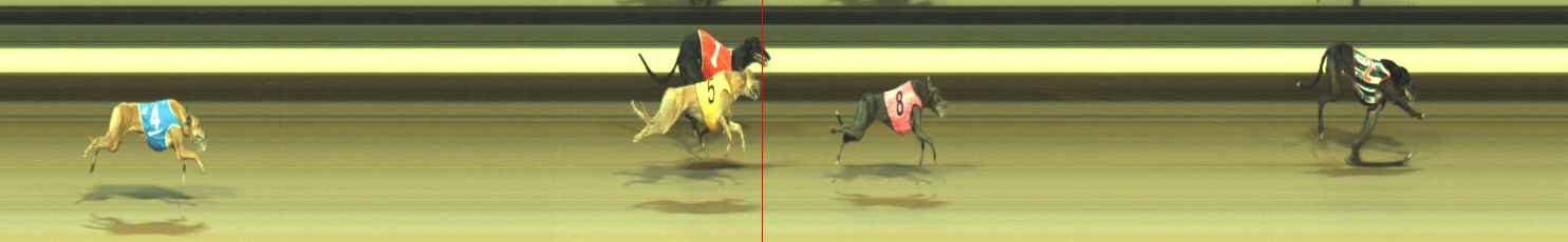 Photo finish for Warragul Race 9