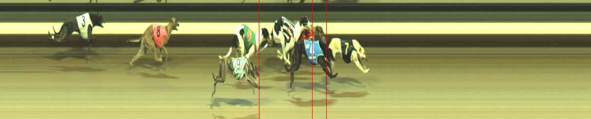 Photo finish for Warragul Race 10