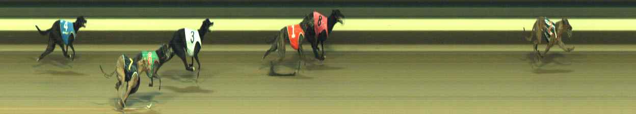 Photo finish for Warragul Race 10