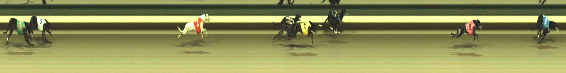 Photo finish for Warragul Race 11