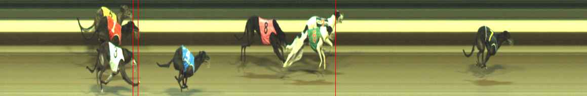 Photo finish for Warragul Race 12