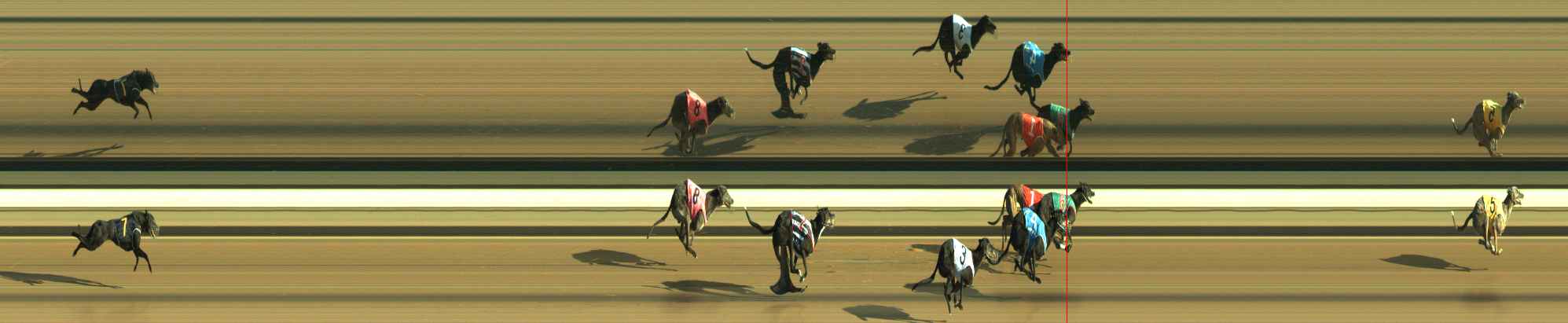 Photo finish for Warragul Race 5