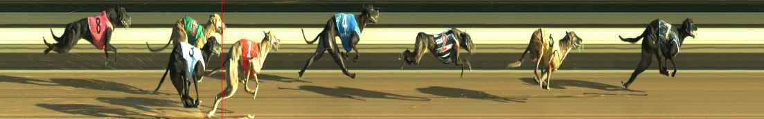 Photo finish for Warragul Race 6