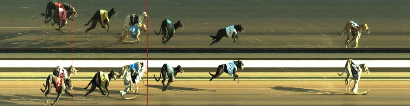 Photo finish for Warragul Race 7