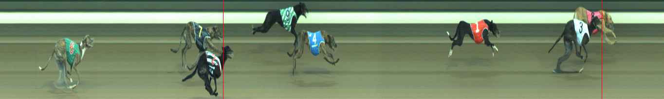 Photo finish for Warragul Race 8