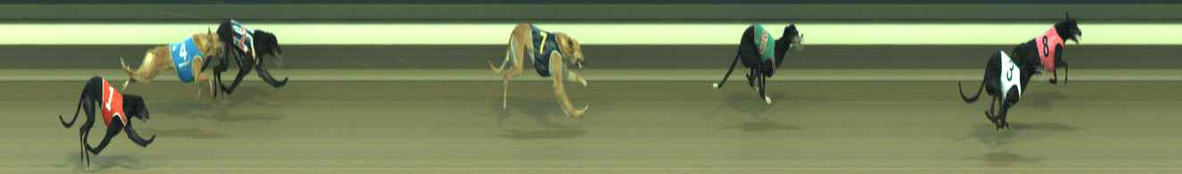 Photo finish for Warragul Race 9
