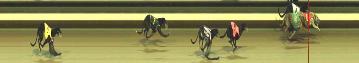 Photo finish for Warragul Race 2