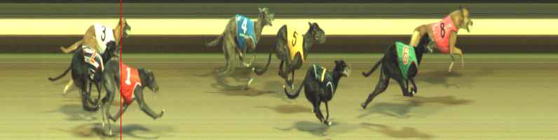 Photo finish for Warragul Race 4