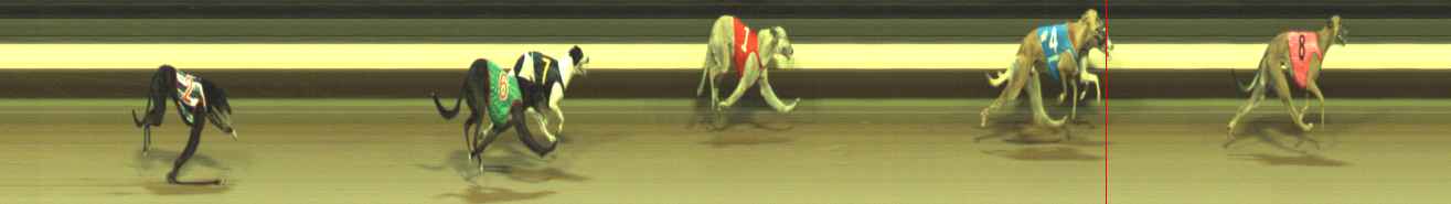 Photo finish for Warragul Race 5