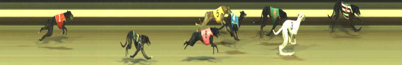 Photo finish for Warragul Race 6
