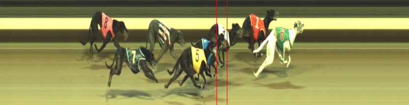 Photo finish for Warragul Race 8