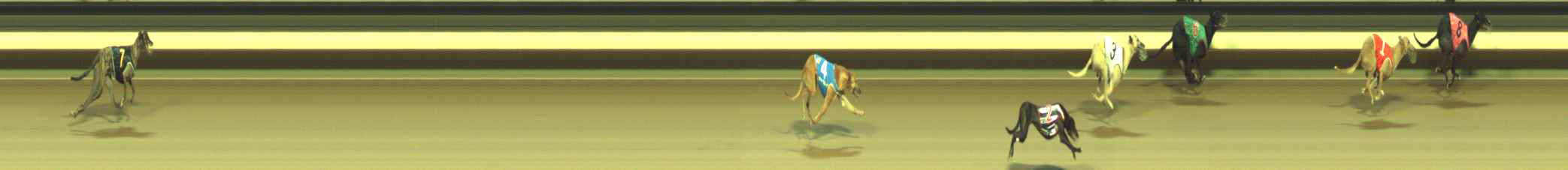 Photo finish for Warragul Race 10