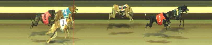 Photo finish for Warragul Race 11
