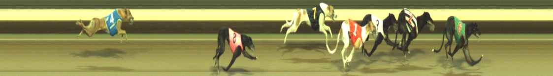 Photo finish for Warragul Race 12