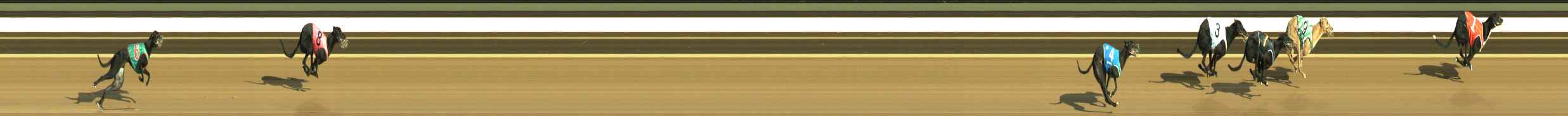 Photo finish for Warragul Race 1