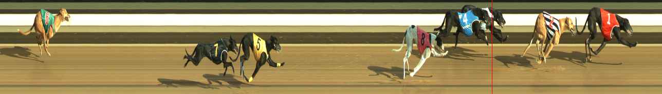 Photo finish for Warragul Race 3
