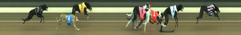 Photo finish for Warragul Race 5