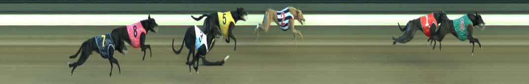 Photo finish for Warragul Race 6