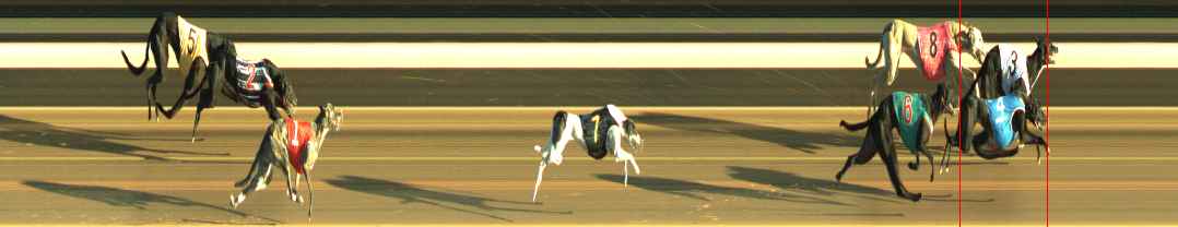 Photo finish for Warragul Race 8