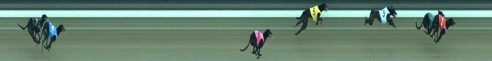 Photo finish for Warragul Race 9