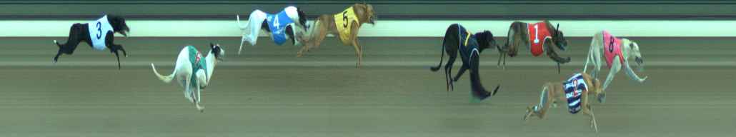 Photo finish for Warragul Race 10